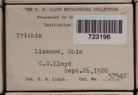 Image Associated With the Occurence